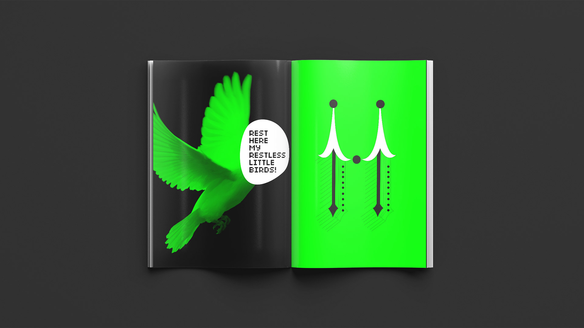 designpark_type_laundry_book